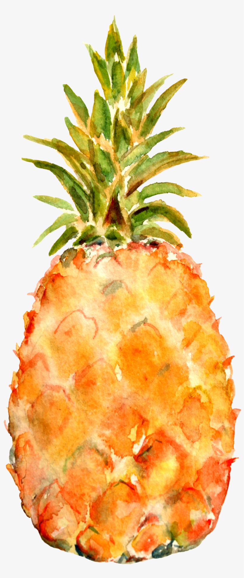 Pineapple Celery Agua Fresca, transparent png download