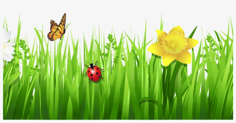 Grass Clip Art - Flowers With Grass Png Hd Transparent PNG - 1368x855