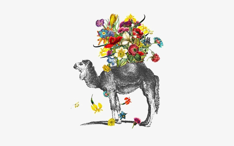 Bactrian Camel Drawing Watercolor Painting - Baihuishop Windproof Golf Umbrella, Compact For Travel, transparent png download