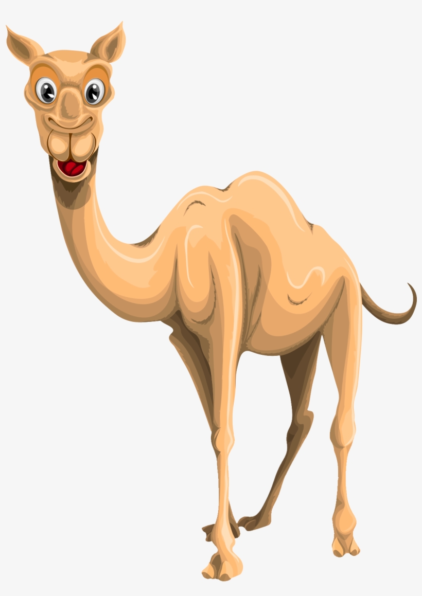 Free Png Camel Png Images Transparent - Camel Image Transparent Background, transparent png download