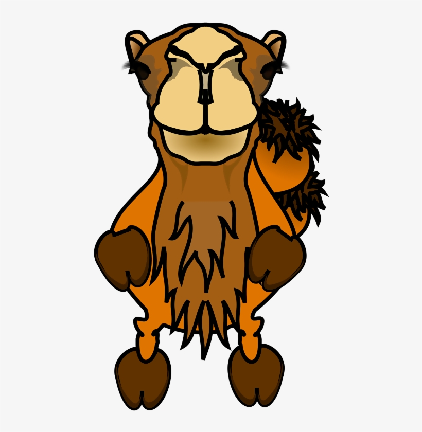 Caricature Camel - Camel Photographer Shower Curtain, transparent png download