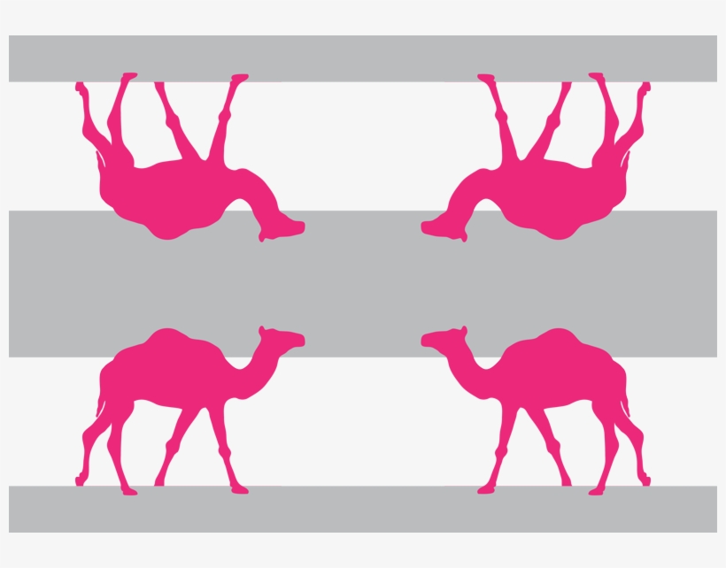 Dromedary, transparent png download