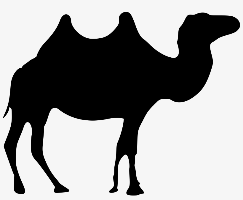 This Free Icons Png Design Of Wild Camel, transparent png download