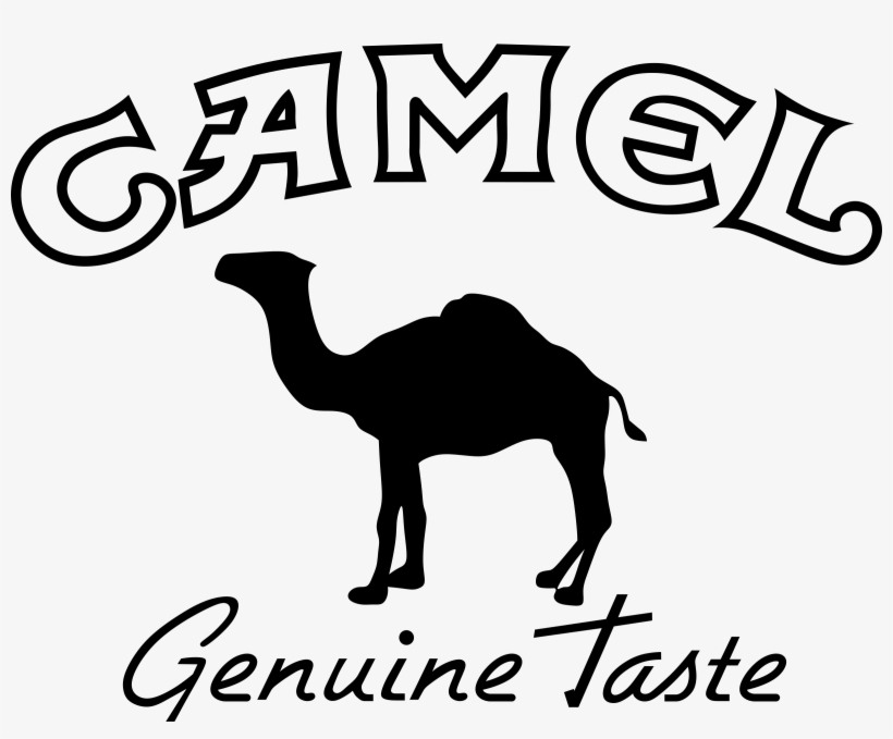 Camel Transparent Logo - Camel Logo, transparent png download