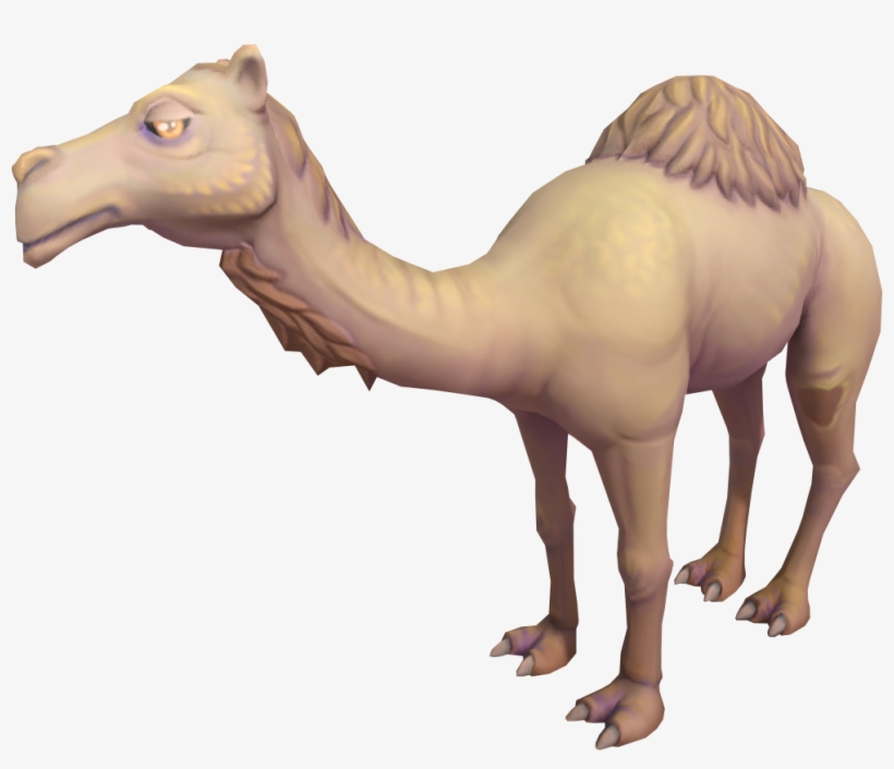 Runescape Wiki - Camel Png, transparent png download