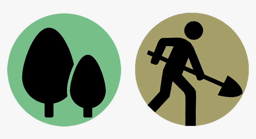 $125 Starts A Grove $50 Gives A Tree - Graphic Design, transparent png download