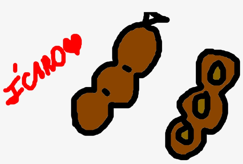 Tamarindo, transparent png download