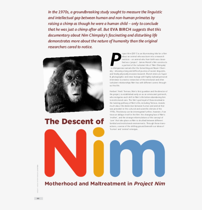 Pdf - Macaque, transparent png download