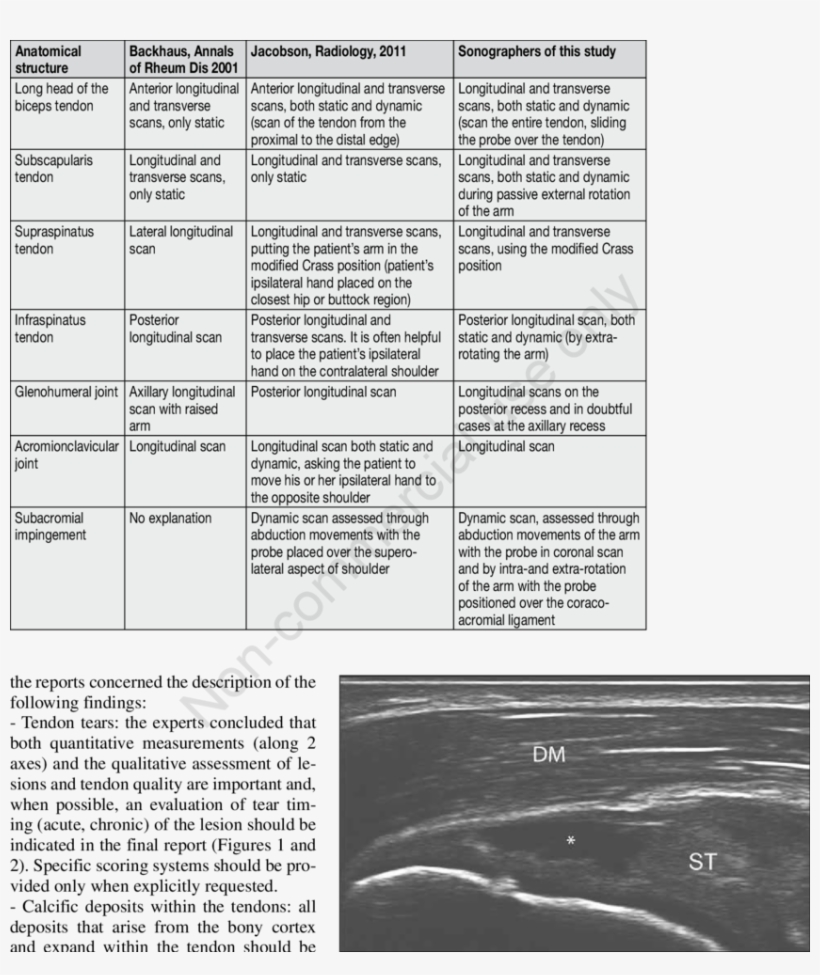 -partial Thickness Tear Of The Supraspinatus Tendon - Document, transparent png download