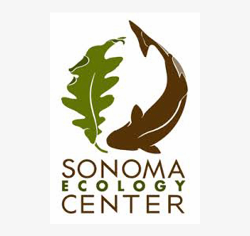 Sec Square - Graphic Design, transparent png download