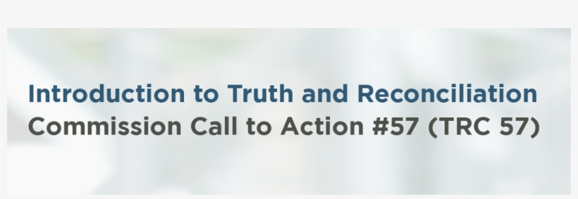 Introduction To Truth And Reconciliation Commission - Canstruction, transparent png download