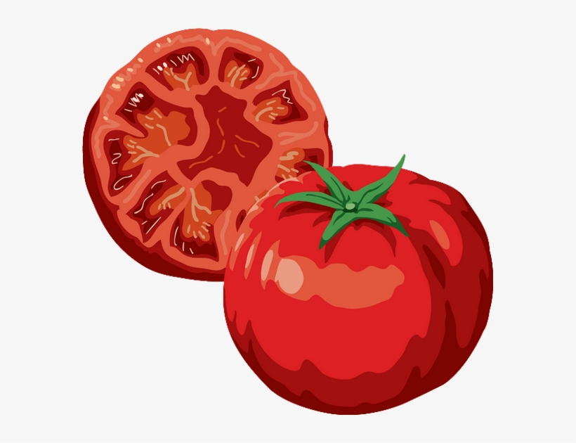Tomates Dessin, transparent png download