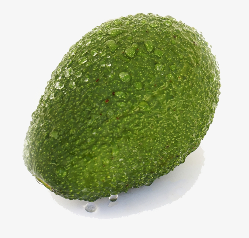 Aguacate Hass - Persian Lime, transparent png download