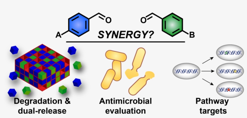 Toc-09 - Diagram, transparent png download