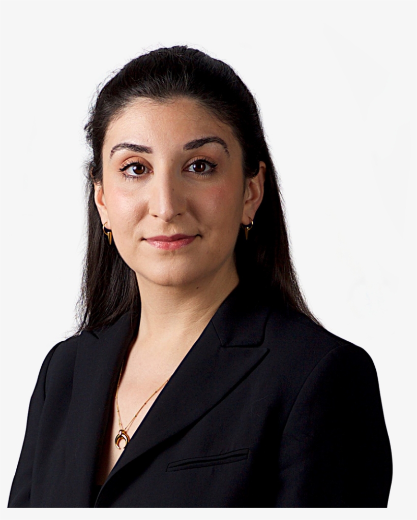 Lilly Alamir - Businessperson, transparent png download