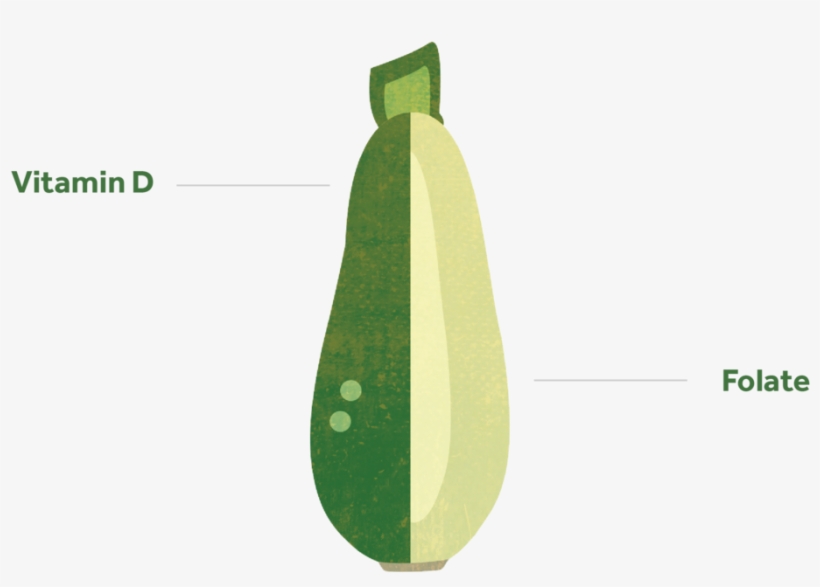 Courgette-01 - Zucchini, transparent png download