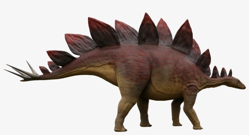 Render4 Stegosaurus 1 Stegosaurus 2 - Triceratops, transparent png download