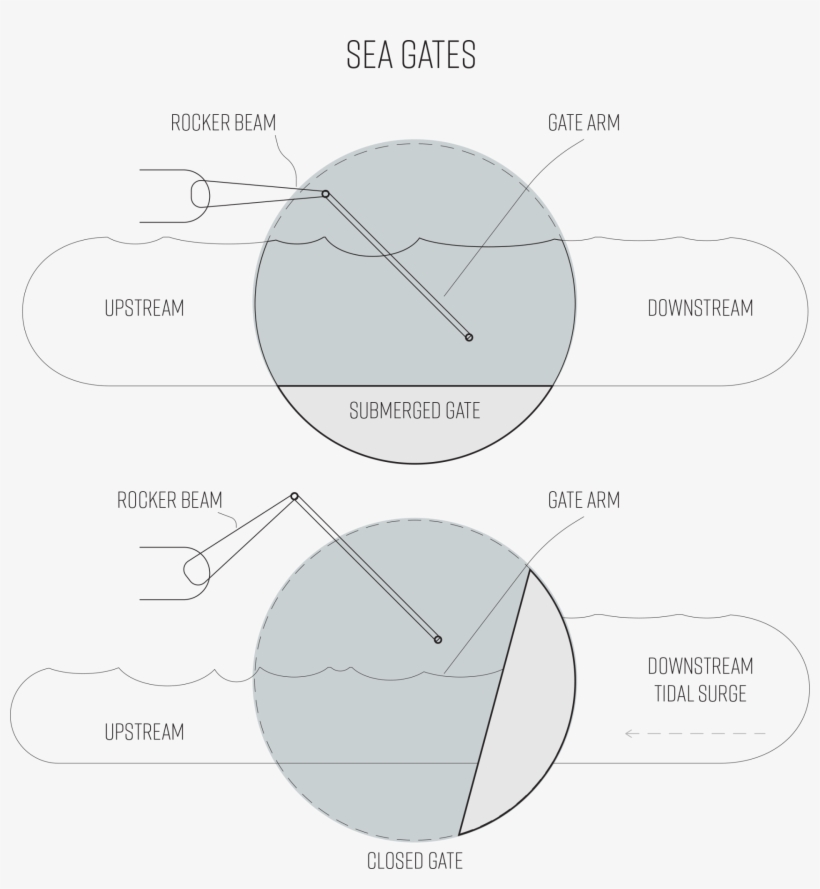 Sg Diagram - Diagram, transparent png download