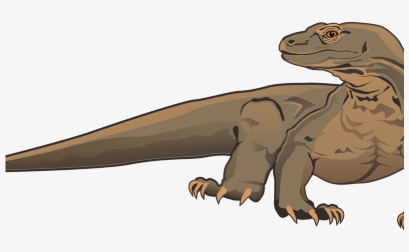 Komodo Dragon Clipart White Background - Vector Komodo Png, transparent png download