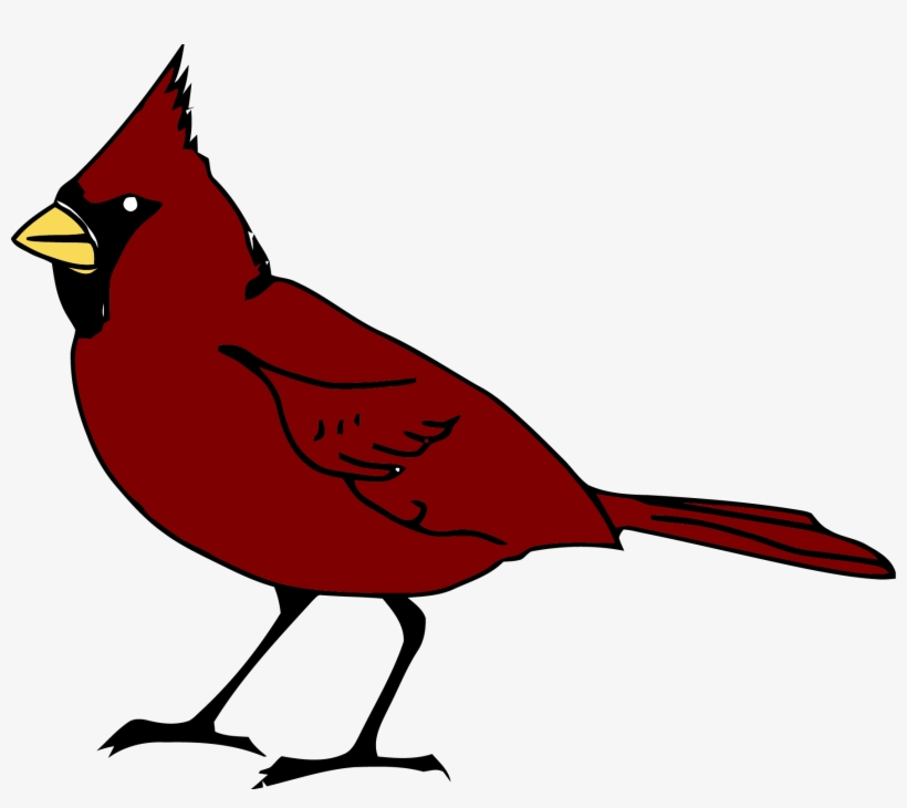 Dark Red Bird Clipart Png - Red Cardinal Yellow Beak, transparent png download