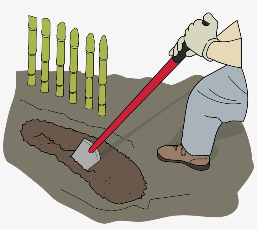 Dig Trench With Shovela Small Trench Is Dug In Which - Shovel Trench Digging, transparent png download