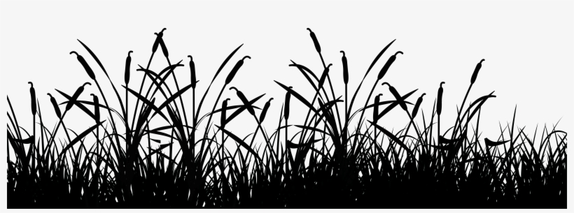 “shit, Man, I Don't Know - Grass, transparent png download