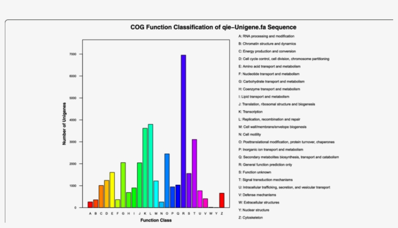 The Abscissa Is The Classification Number Of The Cog - Diagram, transparent png download