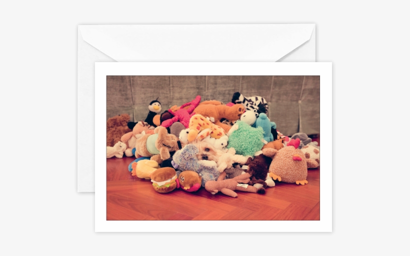 Where's Bailey - Herd, transparent png download