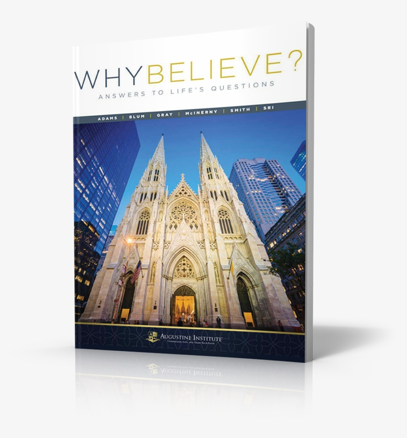 Answers To Life's Questions - Cattedrale Di San Patrizio New York, transparent png download