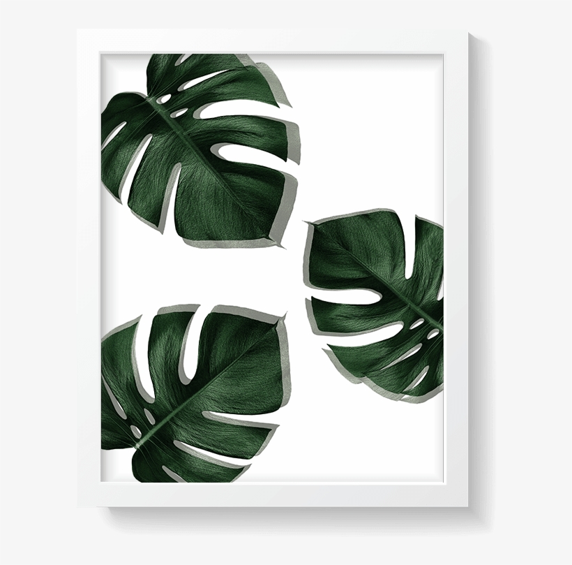 0% Off - Houseplant, transparent png download