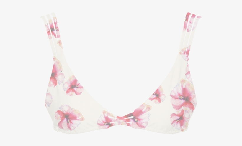 Brassiere, transparent png download