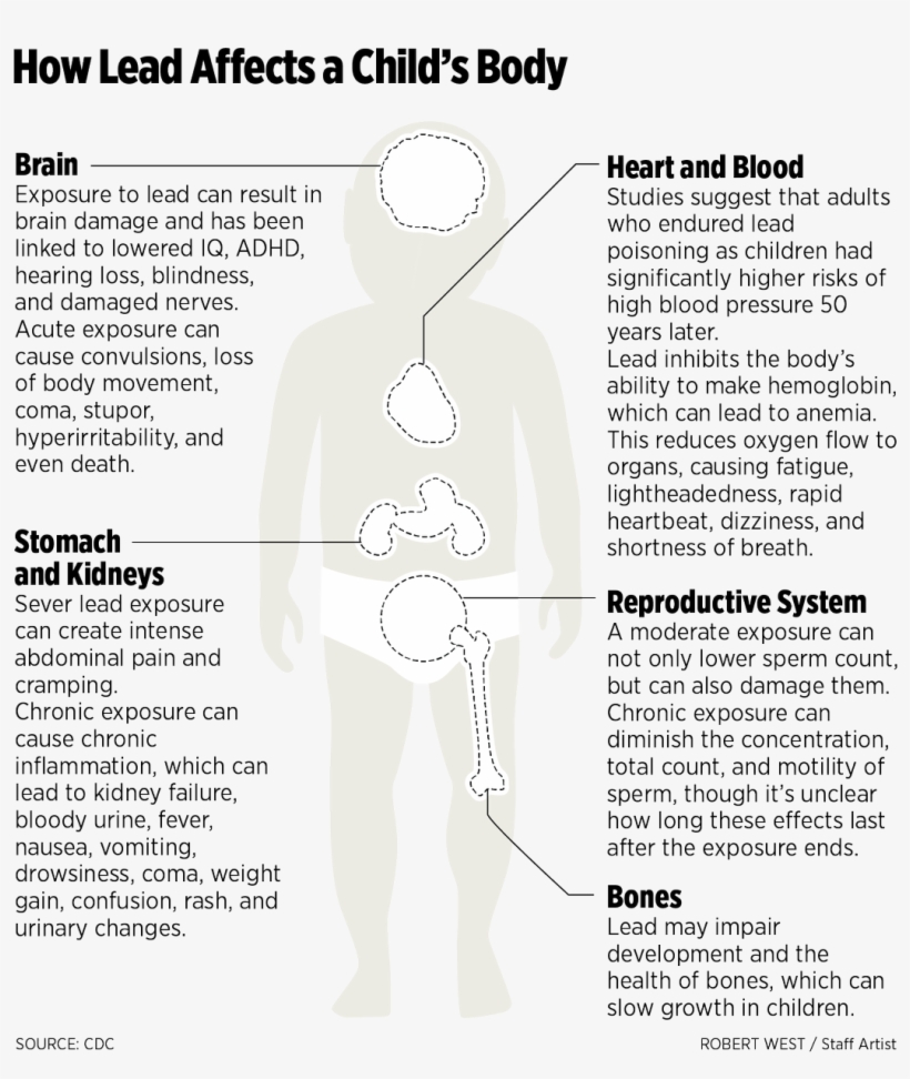Philly - Comverified Account - Paper, transparent png download