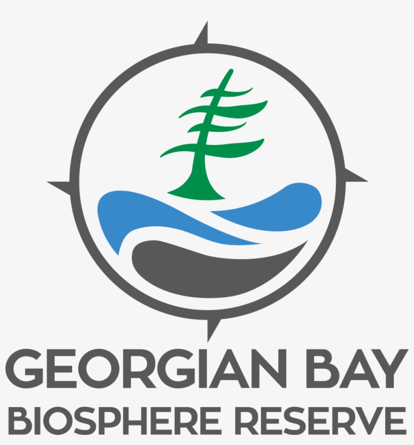 Gbbr Logo Colour Png - Red Nose Day Logo 2011, transparent png download