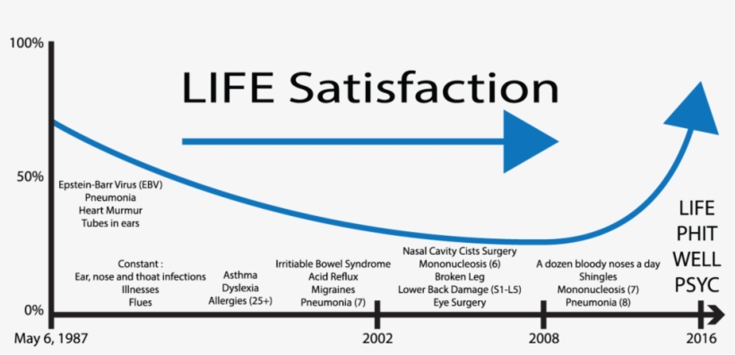 Life Satisfaction Chart - Car, transparent png download
