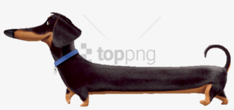 Free Png Download Buddy Full Length Clipart Png Photo - The Secret Life Of Pets, transparent png download