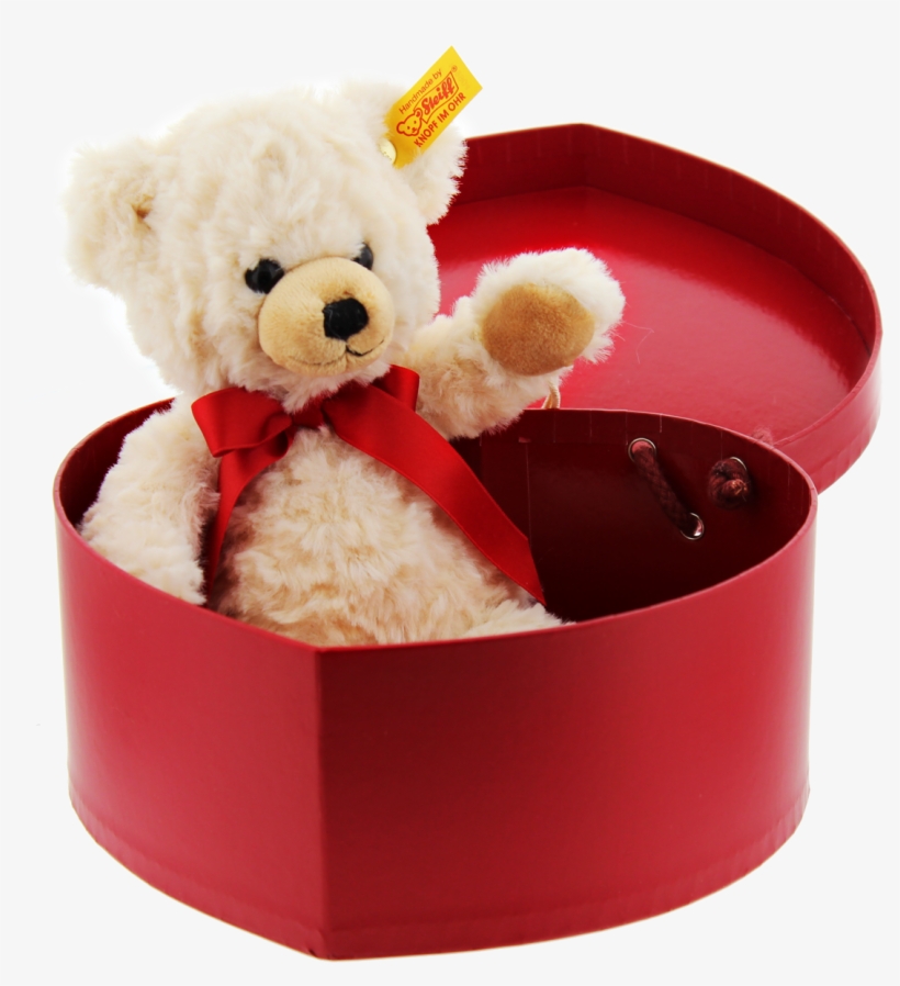Ours En Peluche Dans Son Coffret Coeur - Caja De Regalo De Osito, transparent png download
