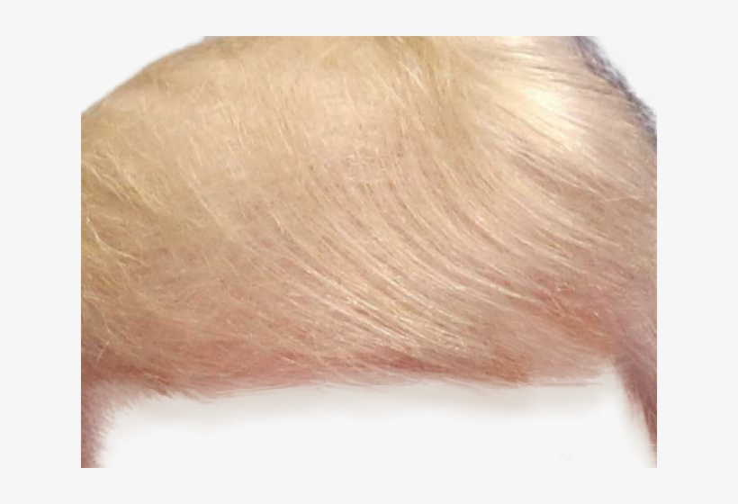 toupee clip art