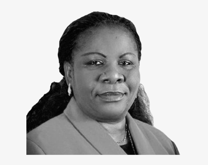 Luísa Dias Diogo - Luisa Diogo, transparent png download