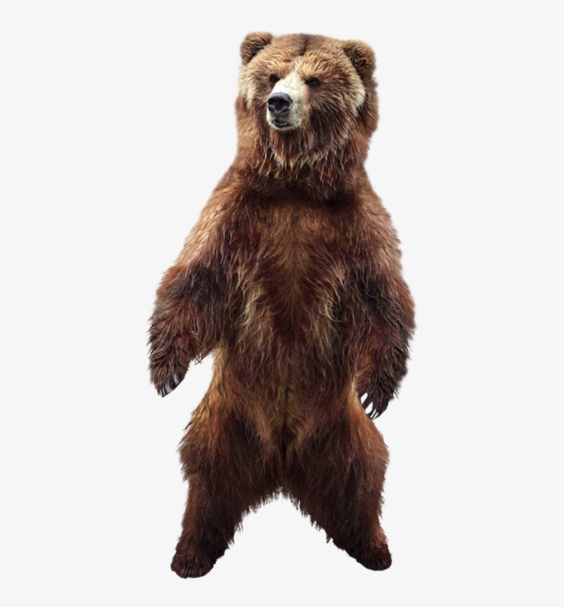 Tubes Dieren - Dieren Png, transparent png download