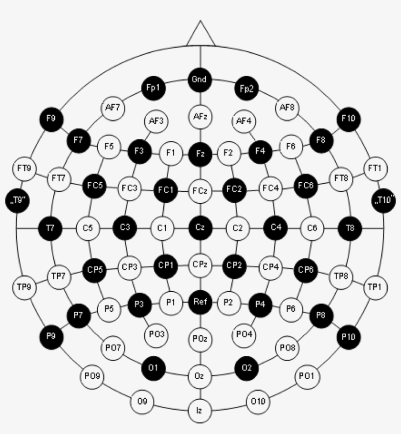 Besa 32 Channel Arrangement For Epilepsy Diagnostics - 128 Channel Eeg Cap, transparent png download