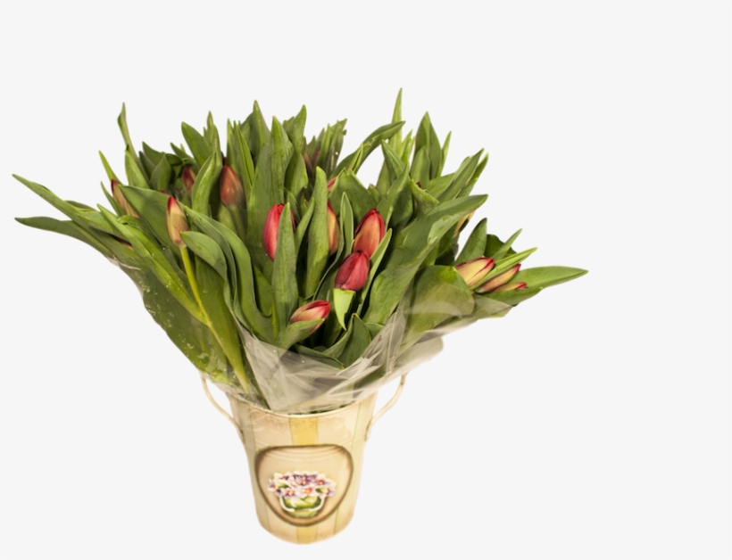 Lush - Artificial Flower, transparent png download