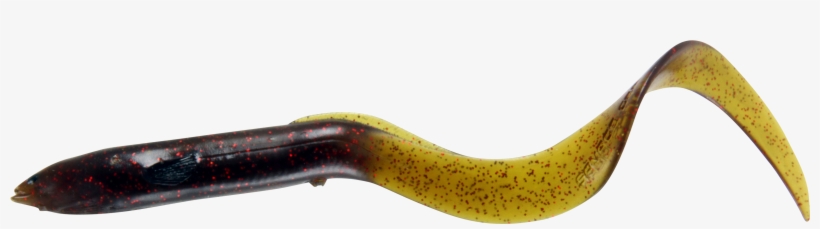 Eel, Reptile, Fishing Baits Lures Png Image With Transparent - Grass Snake, transparent png download