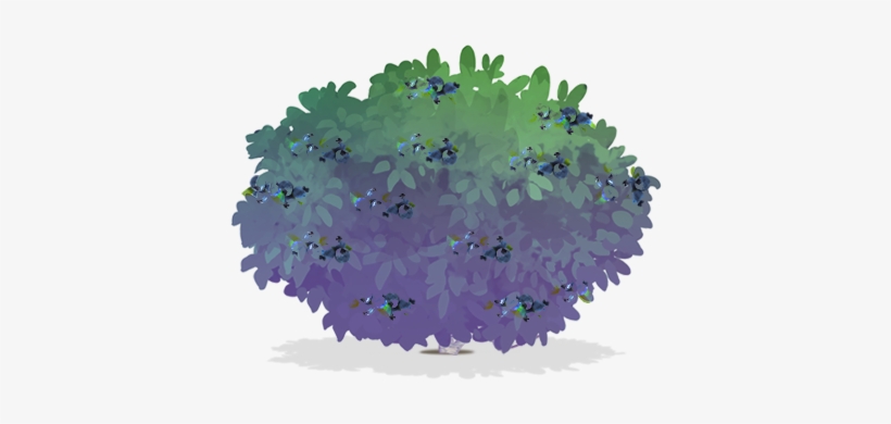 600 X 535 2 - Hydrangea, transparent png download