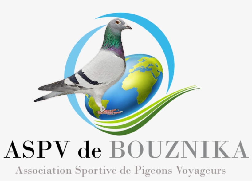 Logo - Graphic Design, transparent png download