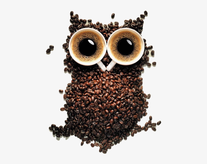 Owl From Coffee - Coffee Owl Png, transparent png download