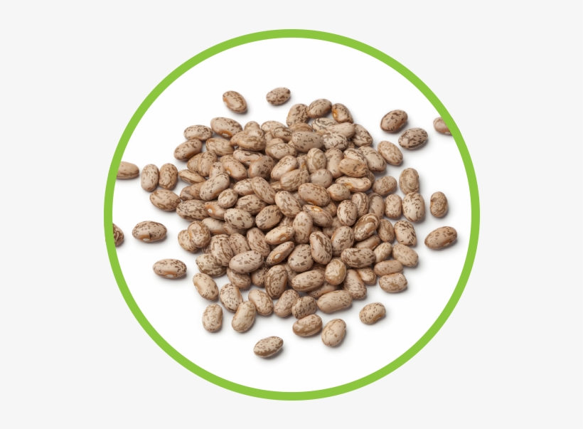 Pinto Beans Md Circle - خواص لوبیا چیتی, transparent png download