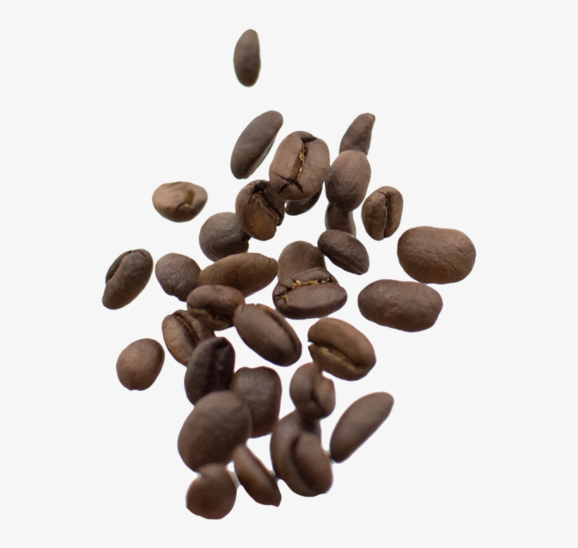 Medium Roast, Coffee, Blends - Seed, transparent png download