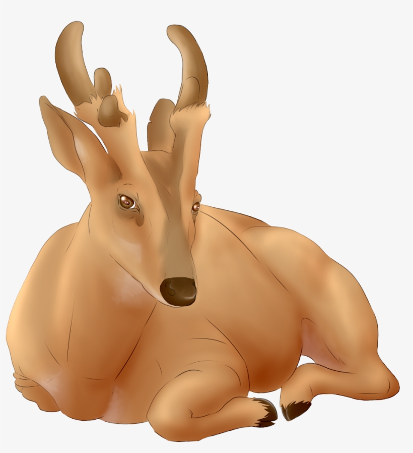 Giant Muntjac Deer - Reindeer, transparent png download