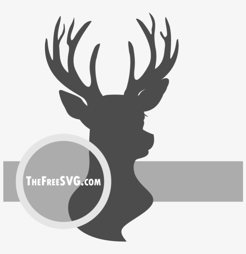 800 X 800 2 - Caramel Apple, transparent png download