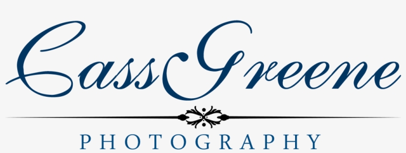 Png Photography Logo - Calligraphy, transparent png download
